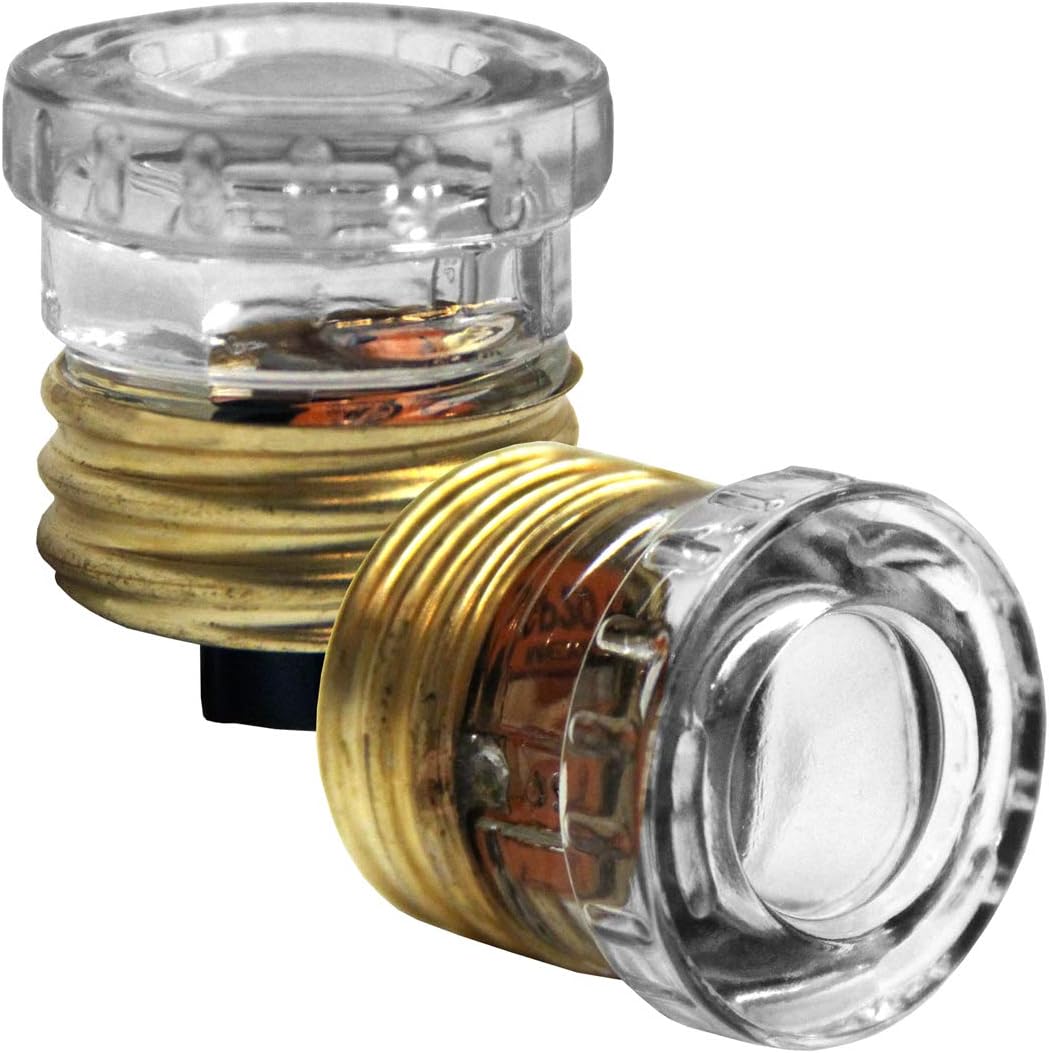 20 AMP Fuse